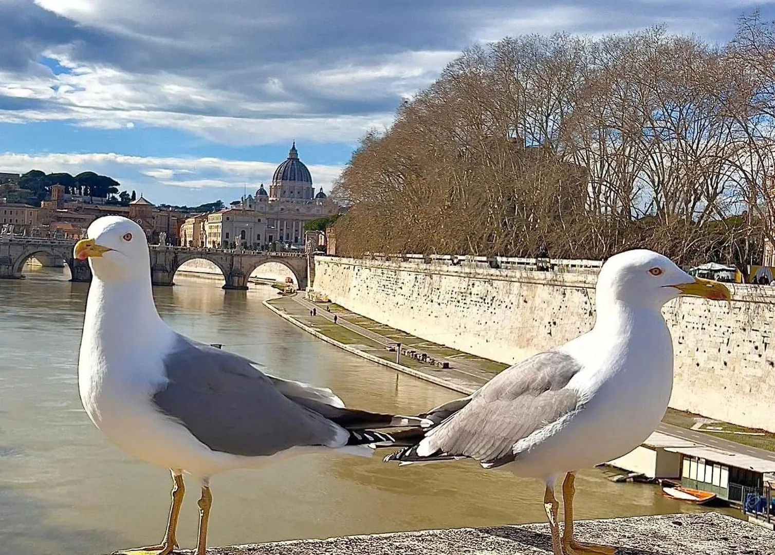 Few Steps From Vatican City Apartment Rome